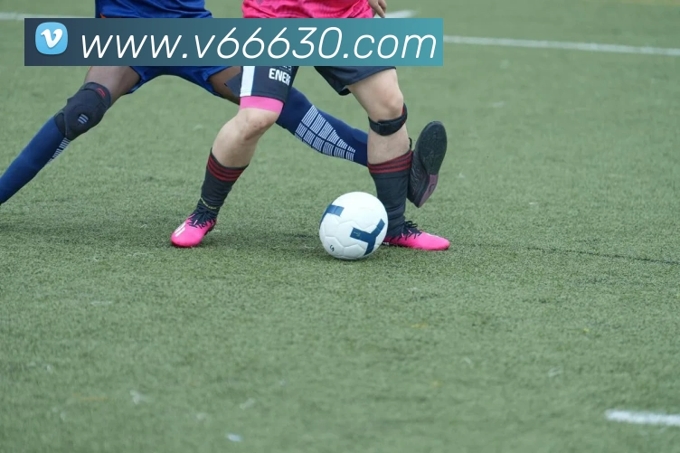 V66体育APP 封面图